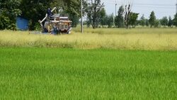 Combine harvester Stock Footage