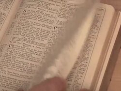 Psalm 23 (HD,NTSC) Stock Footage