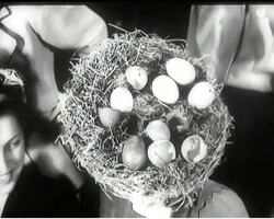 HATS AND EGGS FOR EASTER News Clip