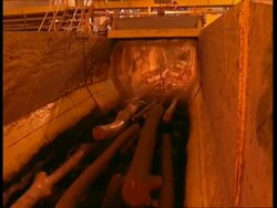 MS Logs moving to camera on conveyor belt, being washed Stock Footage