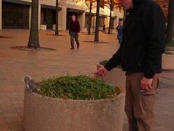 Handheld shot of a man feeding a squirrel on a plant container on a sidewalk in Washington DC Stock Footage