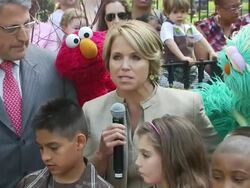 EVENT CAPSULE CLEAN: Katie Couric and Sesame Street Muppets - When Families Grieve, New York, NY, United States, 04/08/2010. (Footage by WireImage Video/GettyImages) Stock Footage
