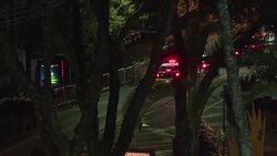 CLEAN : Brazil: Lula leaves tribunal after court hearing News Clip