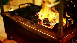 Coal fire Stock Footage