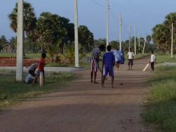 WS Kids playing cricket / Colombo, West Sri Lanka, Sri Lanka Stock Footage