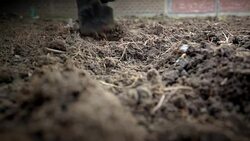 Person digging in garden Stock Footage