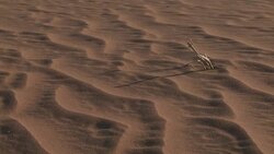Sand ripples across the Dunes of Sossuslvei, South Africa. Stock Footage