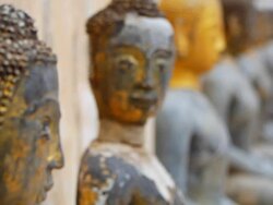 Row of buddhas statue. Stock Footage