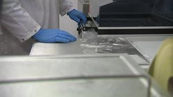 Blue Cheese maker News Clip