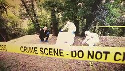 Crime Scene Investigation Stock Footage