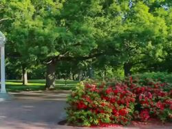 UNC campus Stock Footage