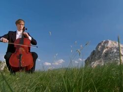 CRANE: Musician In Nature Stock Footage