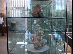 Ministry of Mines presser after reports vast mineral wealth discovered News Clip