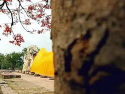 Big reclining buddha. Stock Footage