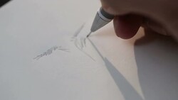 Sketch Stock Footage