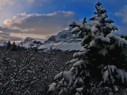 Time lapse long shot snow on trees and Rocky Mountains / Banff National Park / Alberta, Canada Stock Footage