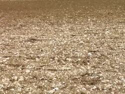 HD: Farmland (soil) Stock Footage