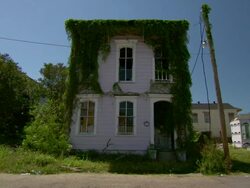 MS View of Derelict building / New Orleans, Louisiana, United States Stock Footage