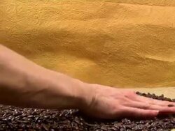 Coffee Beans Torification.. Stock Footage