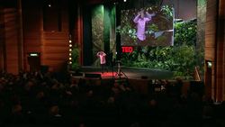 Robin Ince: Science versus wonder? Instructional Video