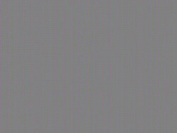 'The Hangover' DVD Junket Stock Footage