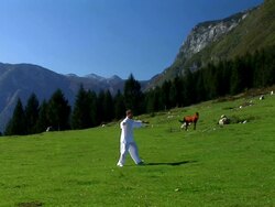 HD: Tai Chi In Nature Stock Footage