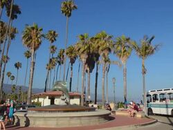MS Shot of waterfront and beaches and pier of beach for tourists on boardwalk with palms / Santa Barbara, California, United States Stock Footage