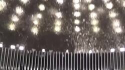 CLEAN : Brazil Senate debates opening impeachment end game News Clip