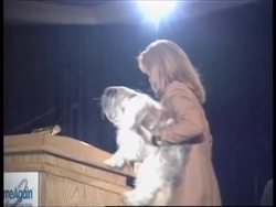 USA: NEW YORK: NEW ANIMAL IDENTIFICATION SYSTEM News Clip