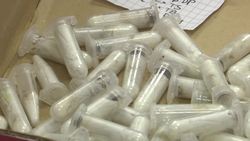 Hundreds of tarantulas seized at Manila airport Instructional Video