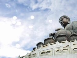 Giant Buddha Stock Footage
