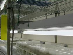 Tilt up on contained plants on shelves in freezer room. Stock Footage