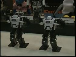 "Lifestyle" robots on show in Tokyo News Clip
