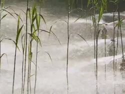 HD Biofiltration Sprinklers Stock Footage