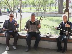 MS People play Traditional musical instruments in park/xian,shaanxi,China Stock Footage