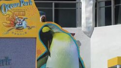 Actor Andy Lau promotes new attraction at Hong Kong theme park Instructional Video