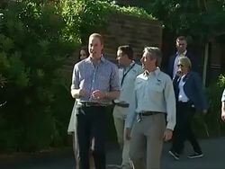 Royals feeding giraffes at Taronga Zoo News Clip