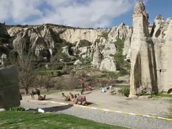 Turkey, Istanbul, Blue Mosque Stock Footage