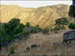 Scenic, Sierra de Andujar, Andalucia, Spain Stock Footage