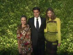 Guests at the Green Auction Stock Footage