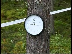 Mushroom picking competition in Latvia News Clip