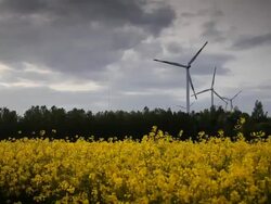 Wind Turbines Stock Footage