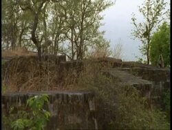 WA high speed Hanuman Langur, Semnopithecus entellus, jumping on Hindu Temple ruins, Bandhavgarh National Park, India Stock Footage