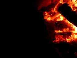 camping fire background HD Stock Footage
