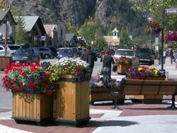 Frisco street flowers Stock Footage
