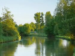 CRANE DOWN: River Stock Footage