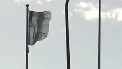 CLEAN : ICTY free ex official after jail time for contempt News Clip