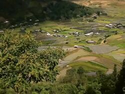 terraced rice field in Tule Village Stock Footage