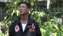 VOICED: Snake-catcher flooded with calls in Thailand News Clip