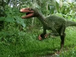 Medium Long Shot pan-left - A feathered dinosaur steps cautiously through a forest in a computer-generated animation. / Washington, DC, USA Stock Footage